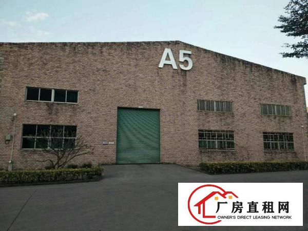
坑梓一楼标准钢结构厂房滴水8米，1250平方出租