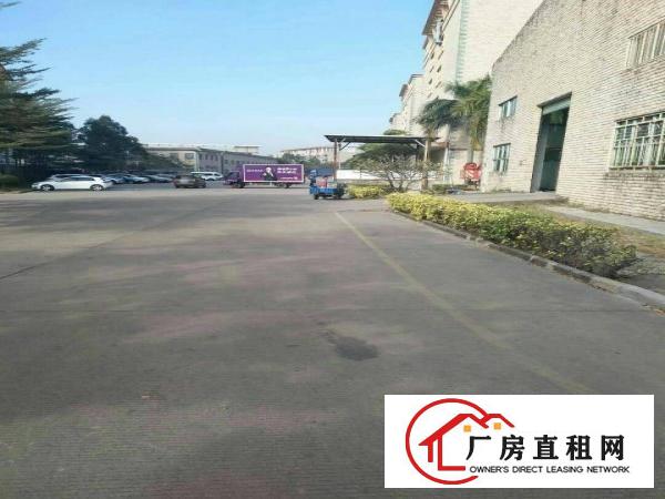 
坑梓一楼标准钢结构厂房滴水8米，1250平方出租