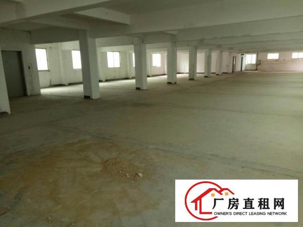 
6900标准独院红本厂房