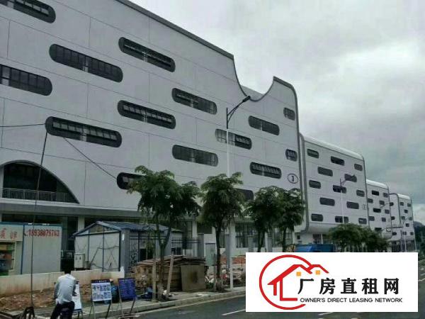 
厂房位于报税区内，全新厂房，大小分租