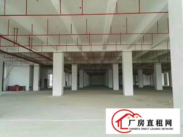 
厂房位于报税区内，全新厂房，大小分租