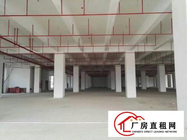 
厂房位于报税区内，全新厂房，大小分租