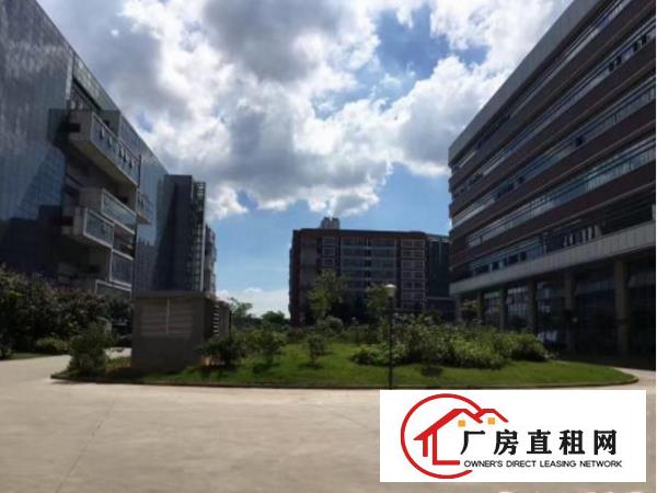 
新出楼上带红本可做医疗厂房2000平出租