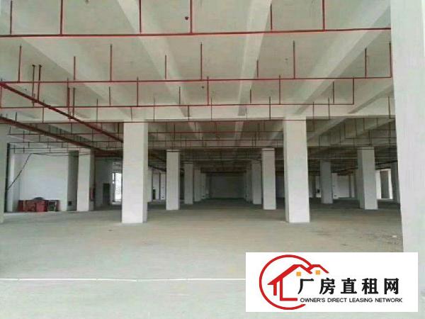 
坪山进出口保税仓库厂房招租