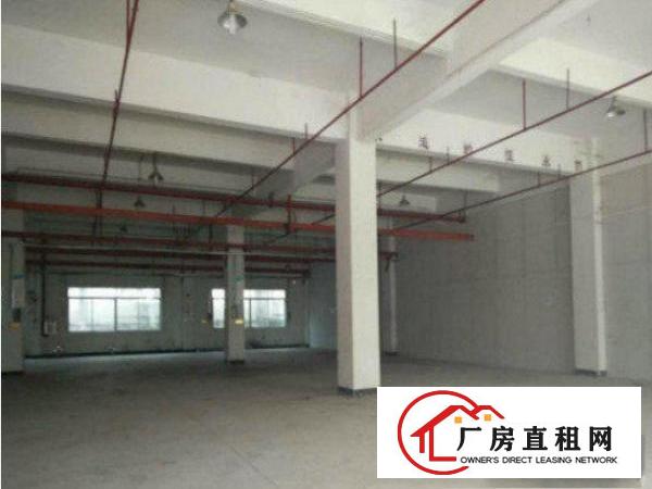 
坪山六和城二楼带装修3200方（电大）园林管理