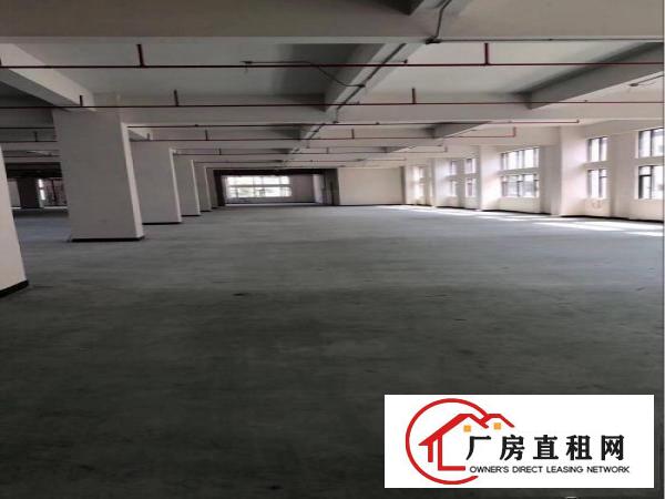 
坪山靠横岗新出独院厂房3200平