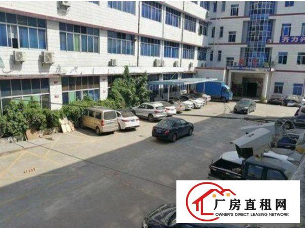 
坪山新和楼上标准厂房带电梯600平方原房东招租