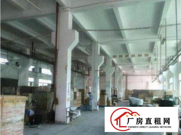 
坪山深汕路旁1050平方一楼标准厂房出租价格便宜