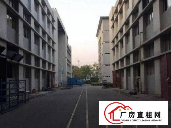 
坪山鸳鸯围标准厂房一楼1000平方