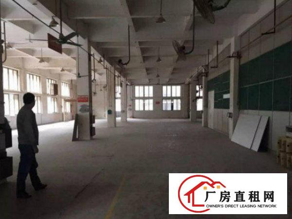 
坪山鸳鸯围标准厂房一楼1000平方