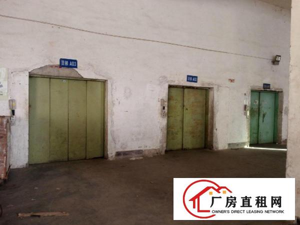 
坪山保税区仓库出租