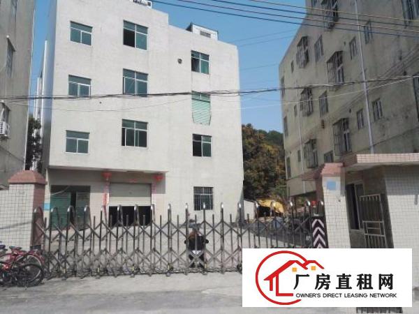 
碧岭经典小独院2800平厂房出租