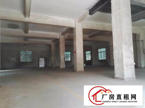
碧岭经典小独院2800平厂房出租