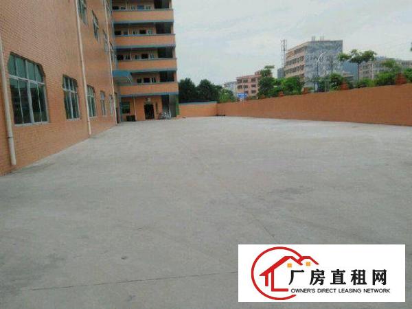 
坪山江边村一楼580平方带装修