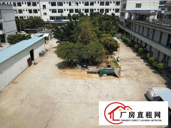 
坪山碧岭4000平独院空地大的可以养殖