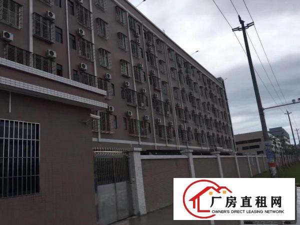 
大工业区分租500平800平1200平厂房