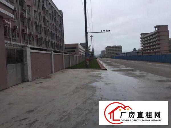 
大工业区分租500平800平1200平厂房