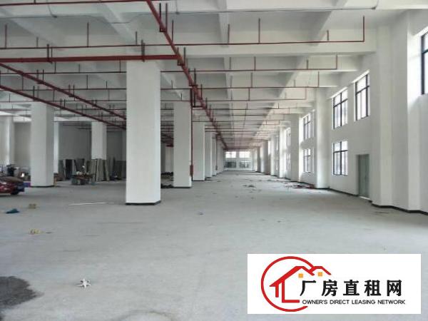 
坪山新区新出保税区全新独栋厂房22000平