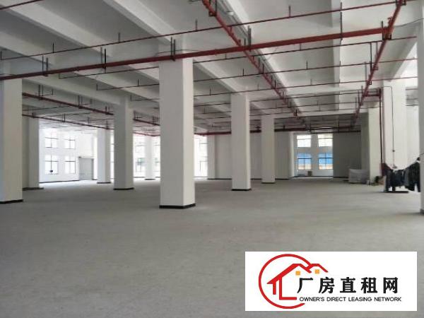 
坪山新区新出保税区全新独栋厂房22000平