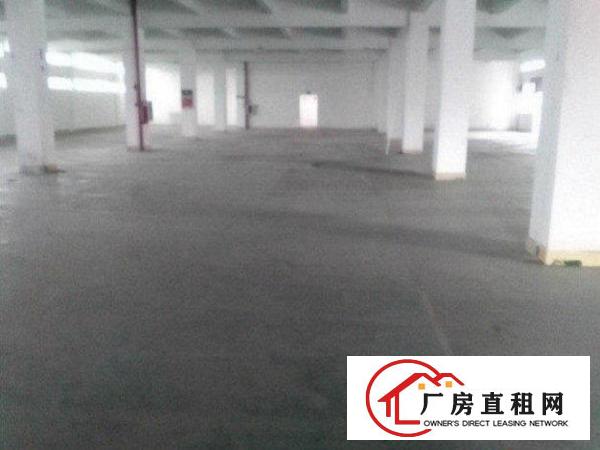 
坪山深汕路一楼标准厂房带水电装修出租2000平方米