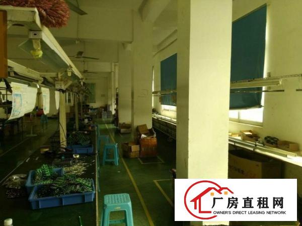 
出租坪山坑梓无尘车间带产线带装修2楼厂房500平米