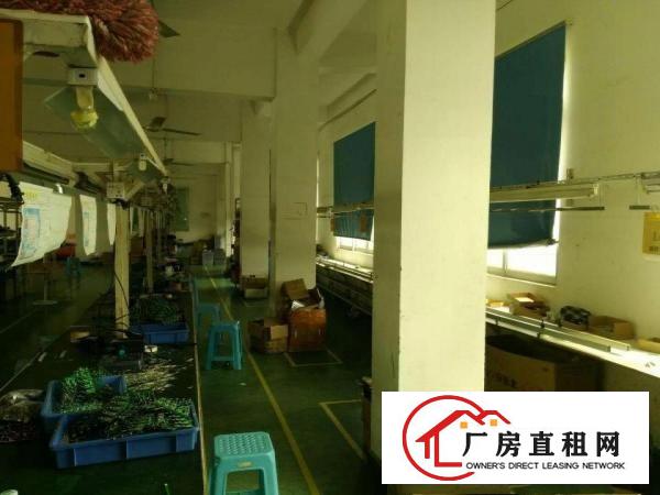 
出租坪山坑梓无尘车间带产线带装修2楼厂房500平米