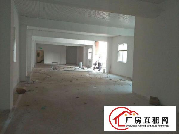 
坪山新出独院厂房1-3层3930平无公摊招租