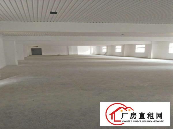 
坪山新出独院厂房1-3层3930平无公摊招租