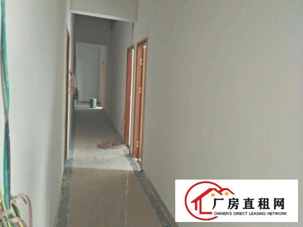 
坪山新出独院厂房1-3层3930平无公摊招租