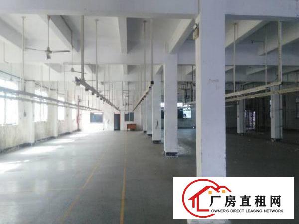 
坪山深汕路独院厂房分租二楼2500平方水电齐全
