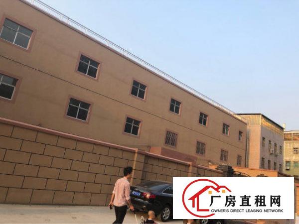 
碧岭原房东独院内13元/平米厂房
