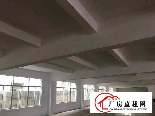 
坪山六联社区新出主干道旁‘独院’原房东