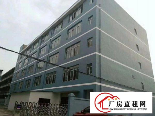 
坪山六联社区新出主干道旁‘独院’原房东