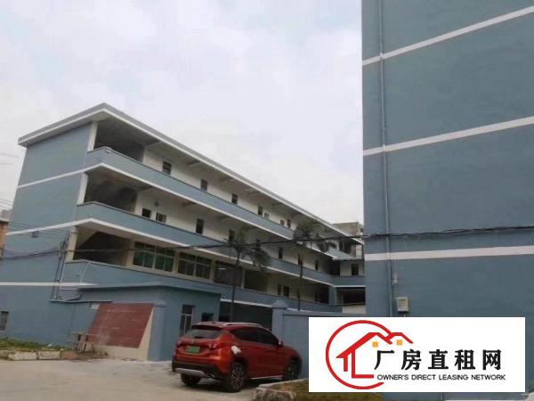 
坪山六联社区新出主干道旁‘独院’原房东