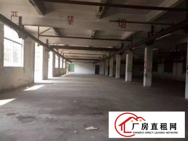 
坪山鸳鸯围新出一楼标准厂房1000平方带地坪漆