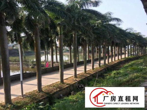 
龙岗工业园厂房出租8800平可分租地段好