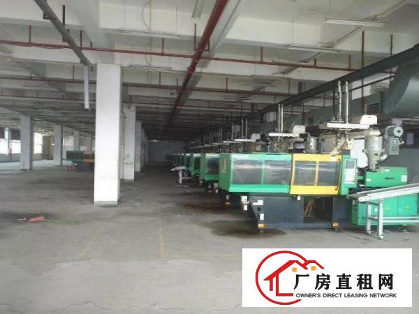 
坪山大工业区新出楼上30000平带卸货平台可分租