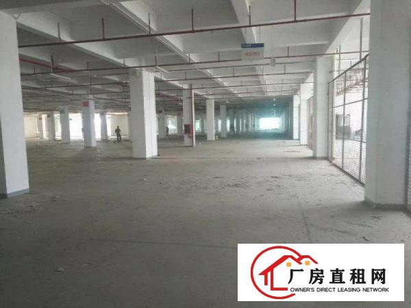 
坪山大工业区新出楼上30000平带卸货平台可分租