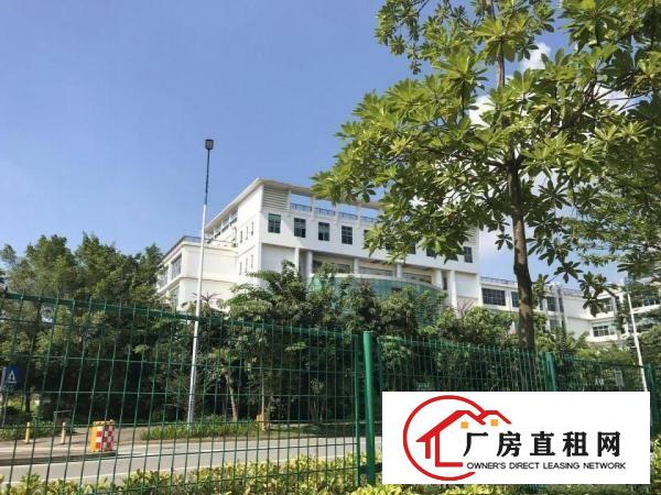 
清溪超靓厂房10000平低价出售