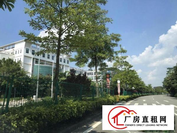 
清溪超靓厂房10000平低价出售