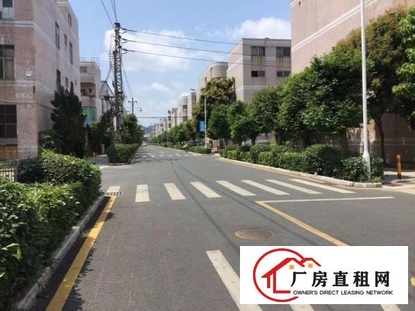 
出租坪山新区独门独院厂房