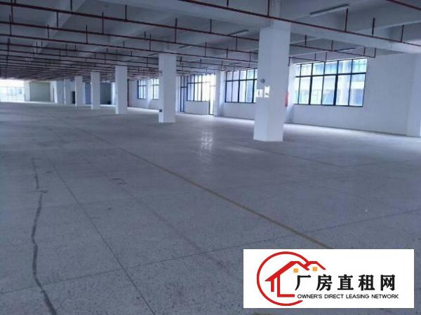 
坪山大工业区独栋红本厂房二楼2000平米招租