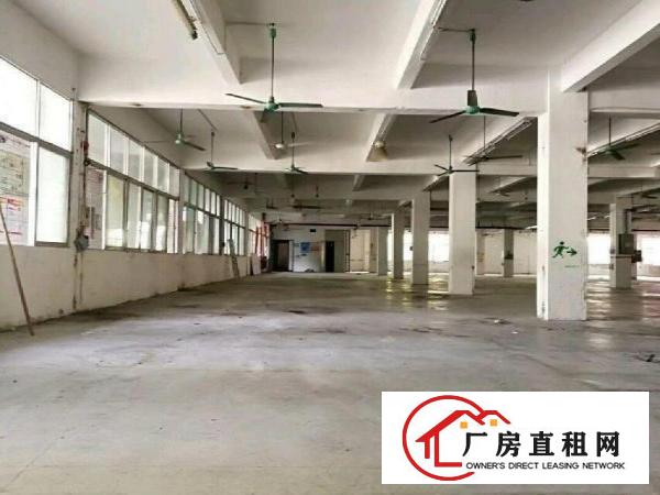 
研发科技坪山全新红本厂房出租可做医疗交通环境好可分租