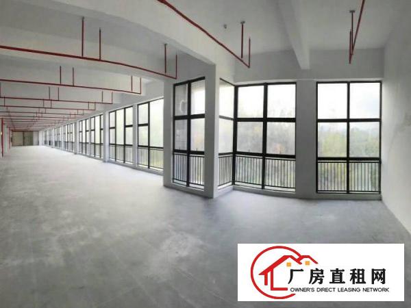 
研发科技坪山全新红本厂房出租可做医疗交通环境好可分租