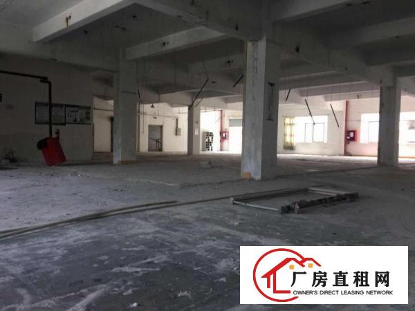 
坪山新区坑梓大工业区1000平标准厂房大货梯可分租