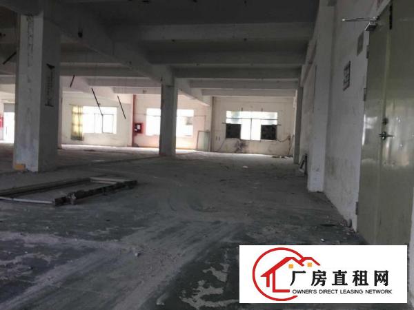 
坪山新区坑梓大工业区1000平标准厂房大货梯可分租