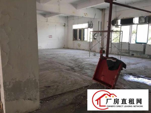 
坪山新区坑梓大工业区1000平标准厂房大货梯可分租