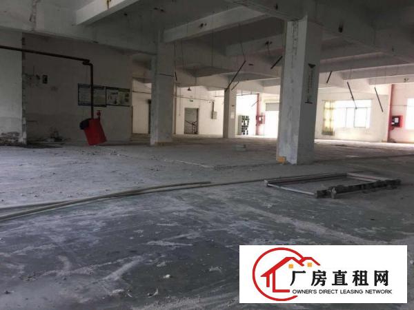 
坪山新区坑梓大工业区1000平标准厂房大货梯可分租