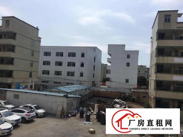 
坪山新区坑梓大工业区1000平标准厂房大货梯可分租