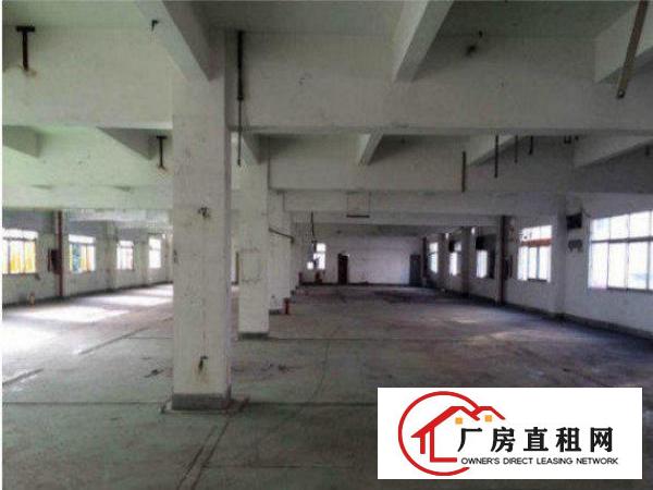
坪山深汕路二楼标准厂房1600平方有电梯环境好